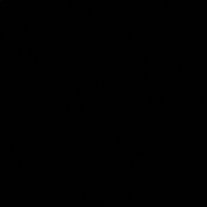 Meet your Posher, Gabby